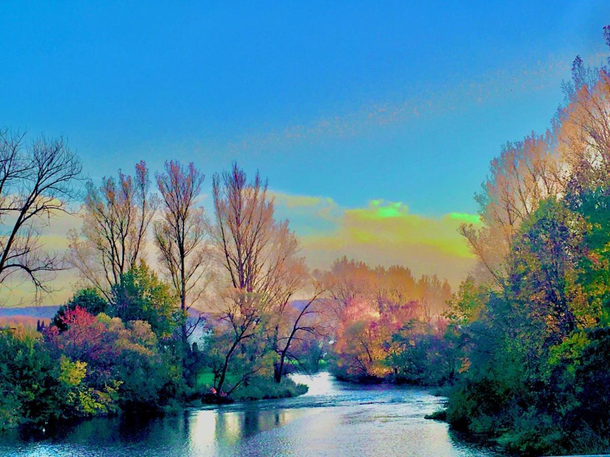 Rhein Romantik Riverview كونستانز المظهر الخارجي الصورة